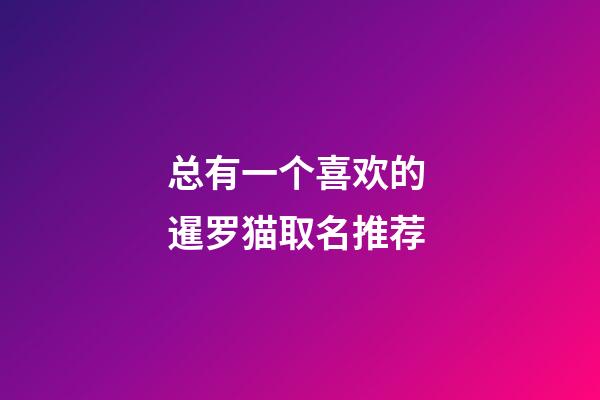 总有一个喜欢的 暹罗猫取名推荐